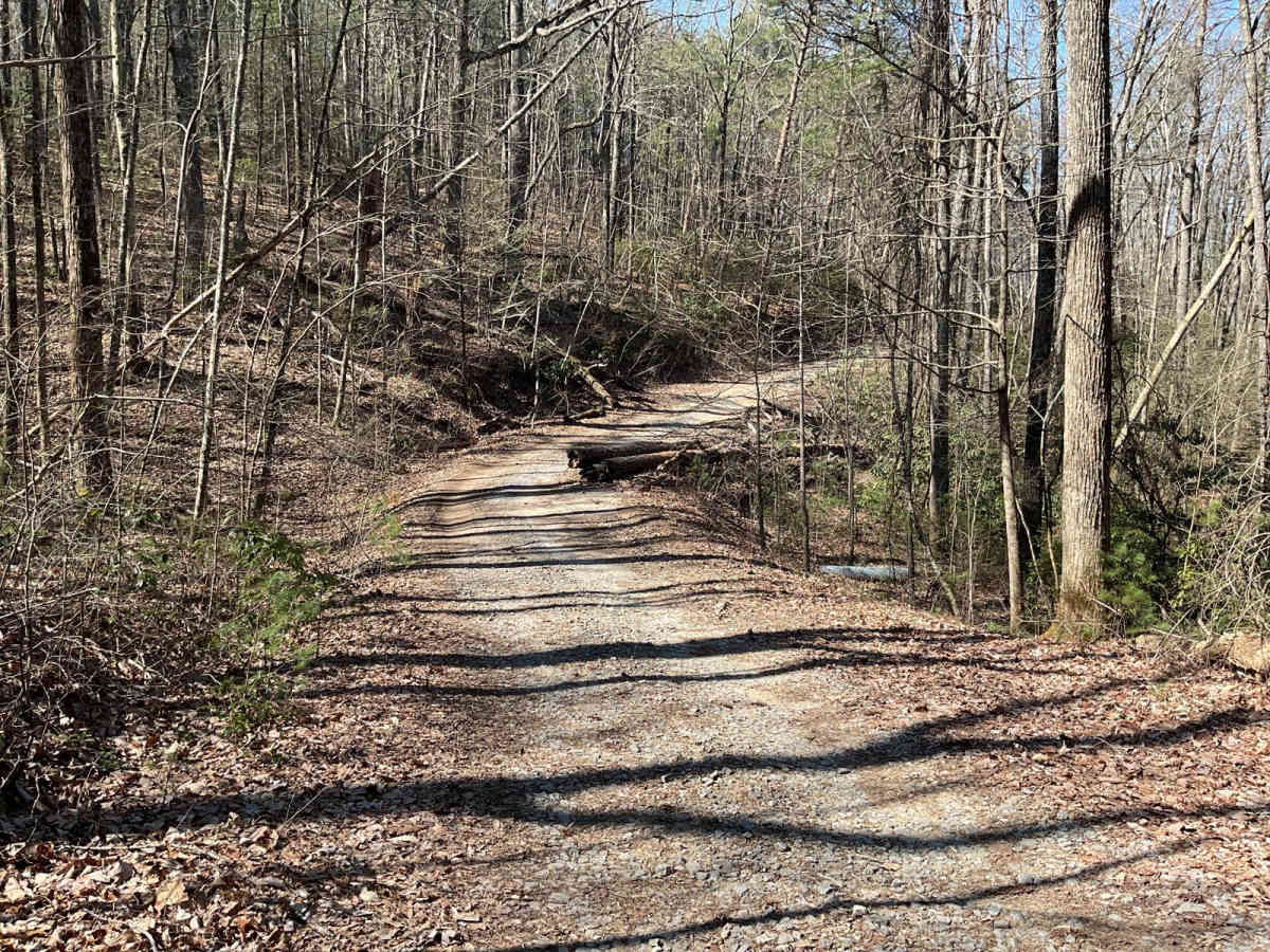 Mill Creek Overlook - FS-630A photo 5