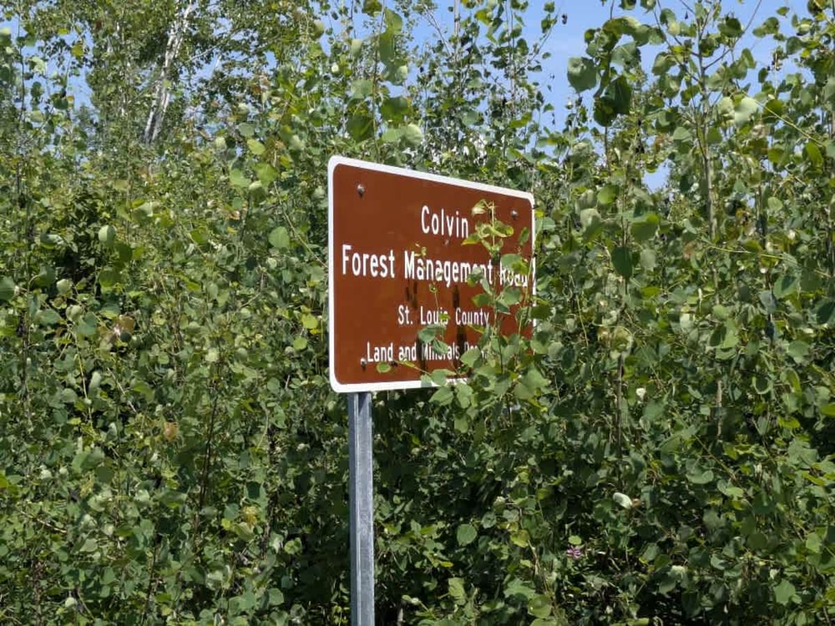 Colvin Forest Road photo 6