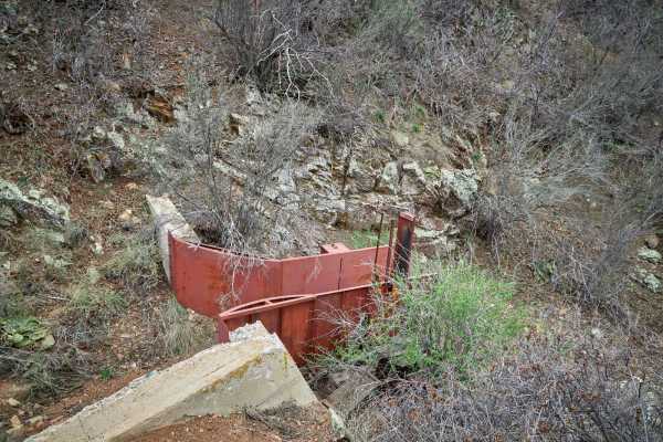 151 Spring Shelf