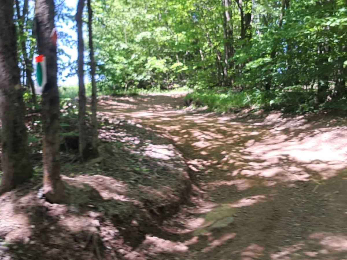Up Hill Mud Bog photo 2