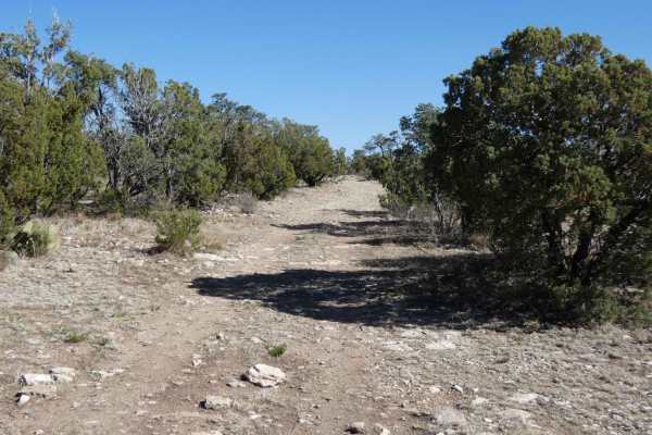 Corkscrew