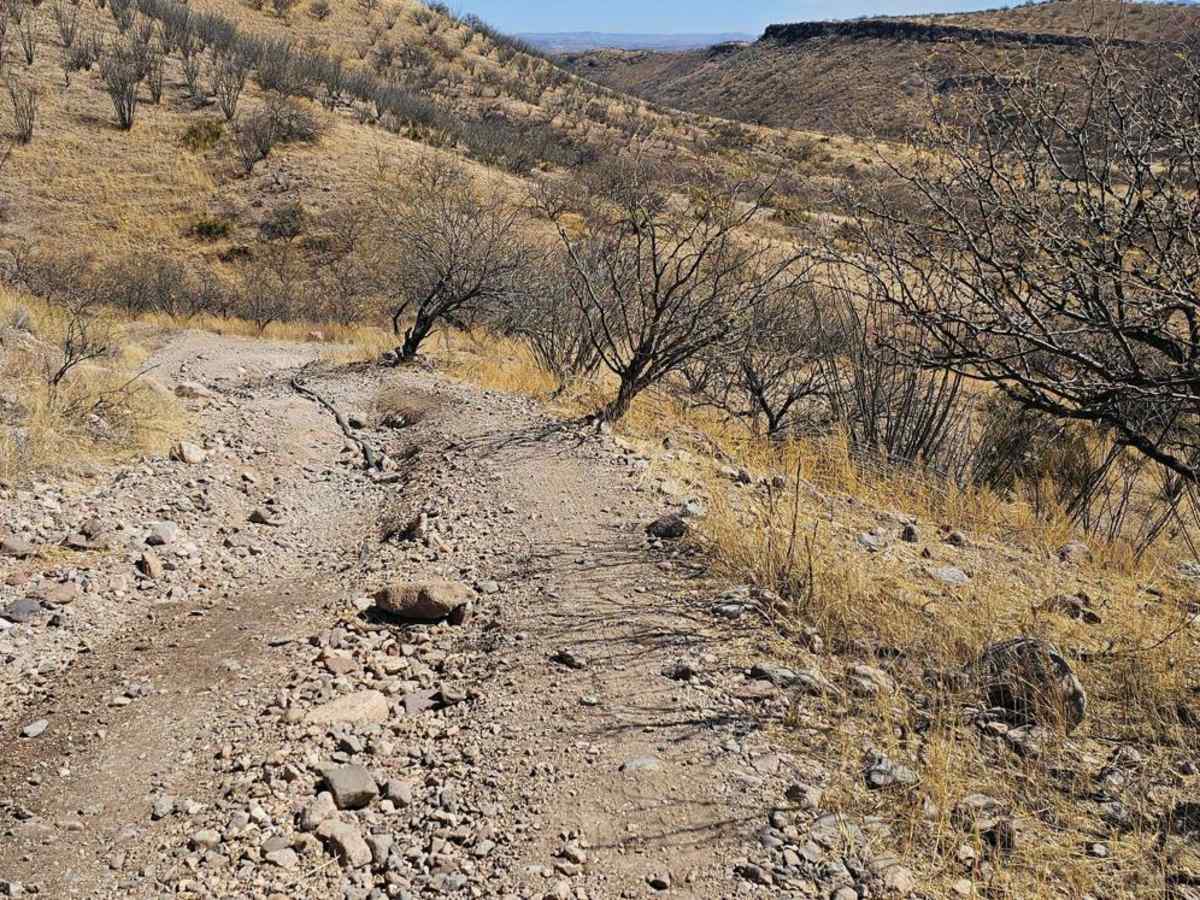 FR215 Three Canyon photo 6