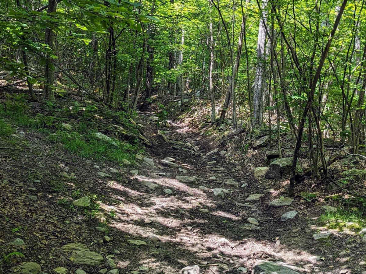 Old Military Road/TH-35 photo 5