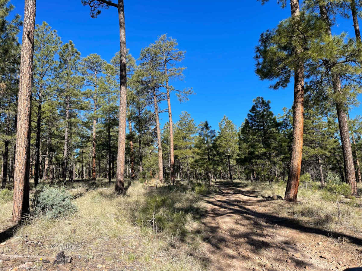 Apache Peak Road photo 5
