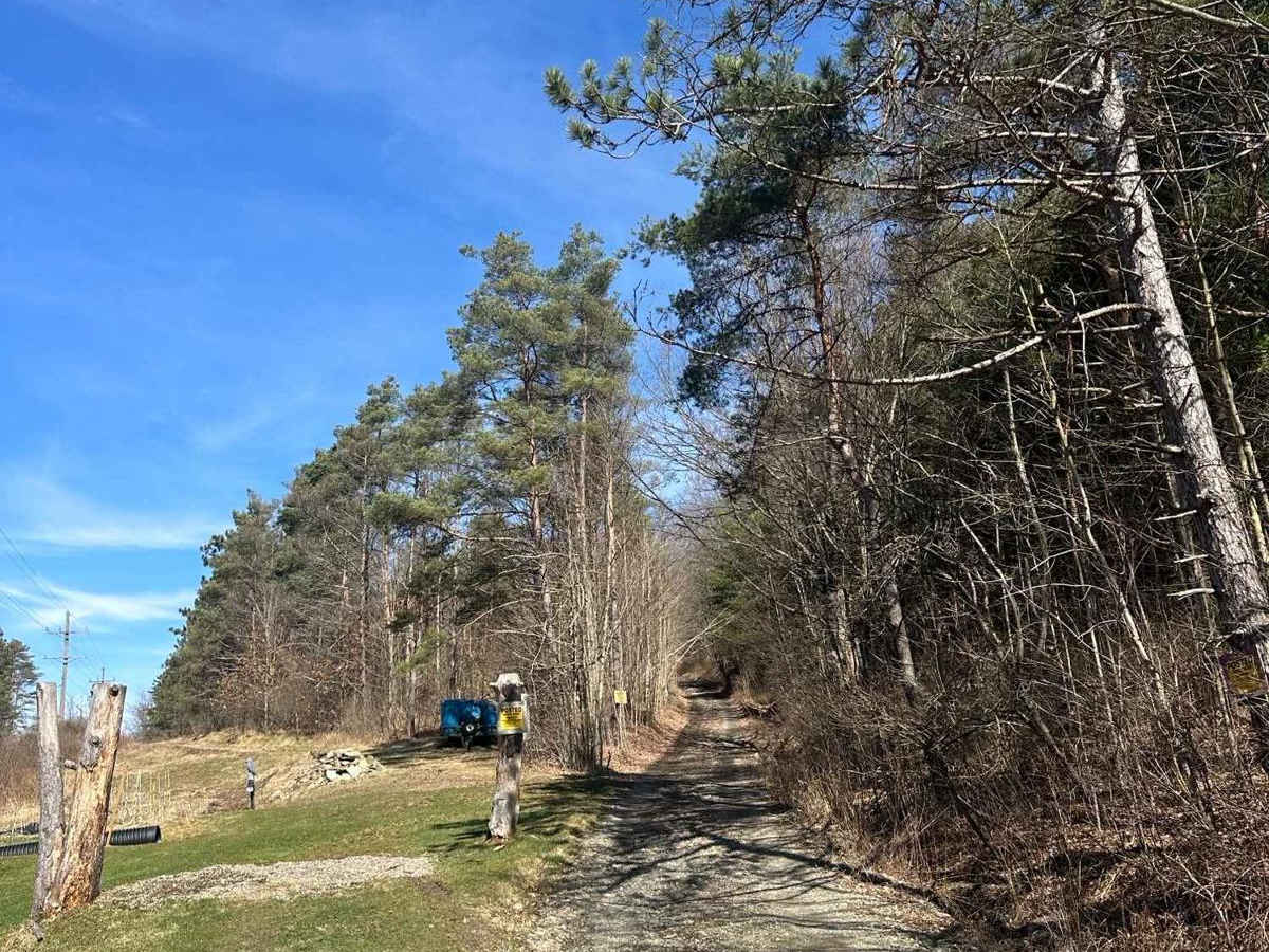 Van Husen Road trail photo