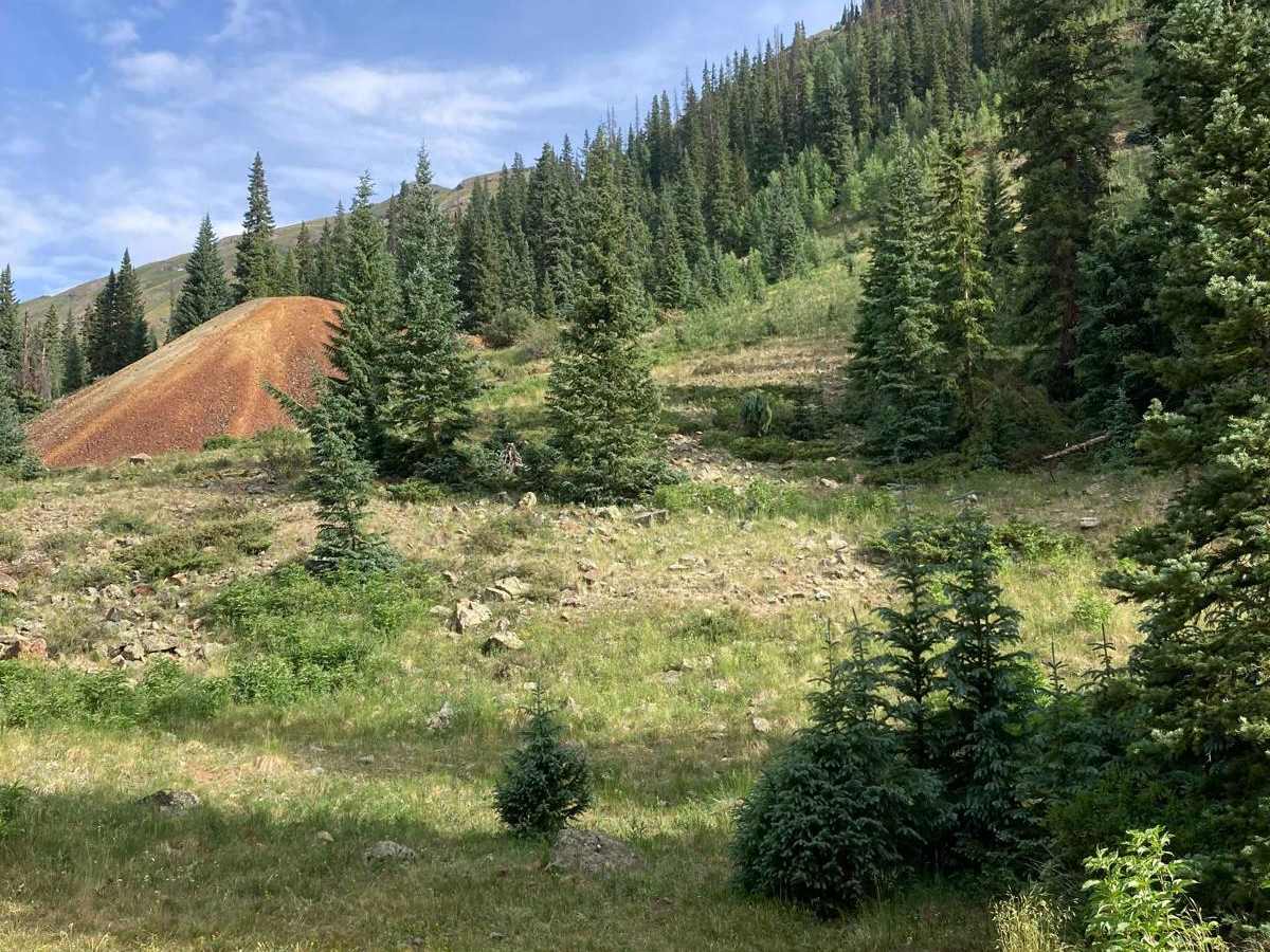 South Fork Animas Trailhead photo 5