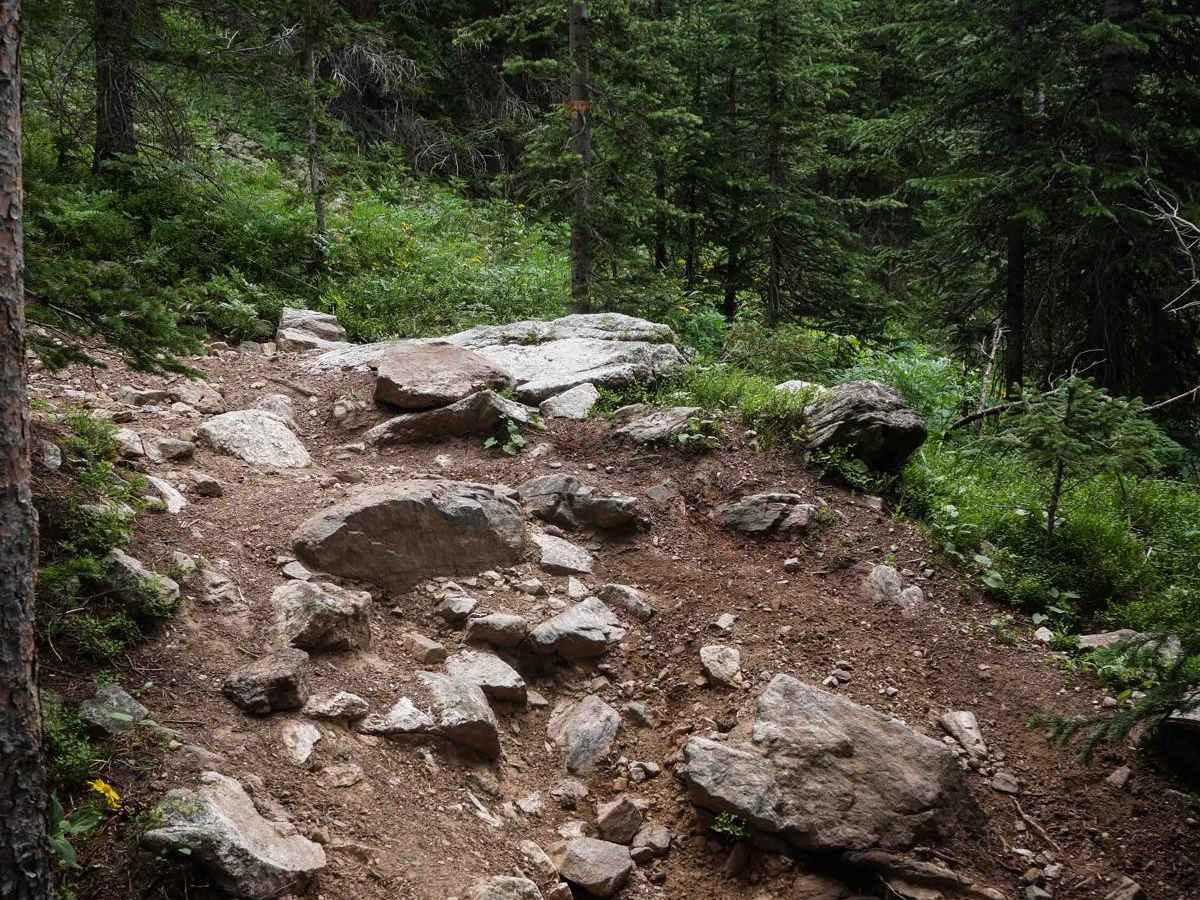 Never Summer Trail  trail photo