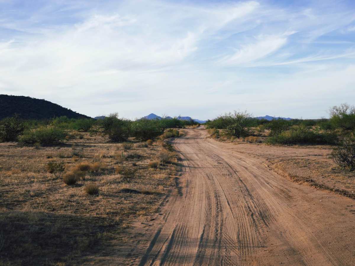 Jam Ranch photo 5