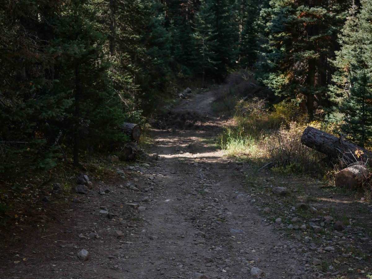 Fox Creek ATV photo 6