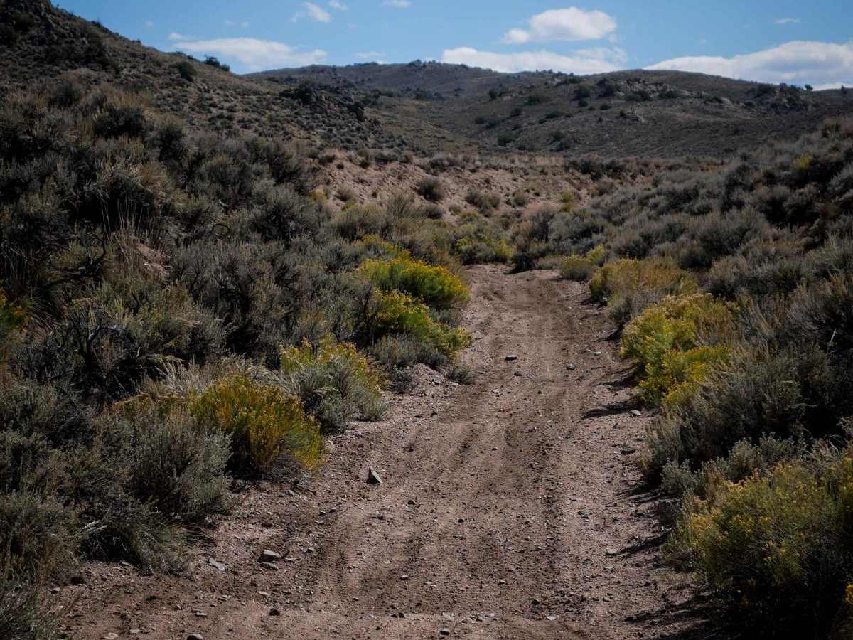 Sandy Wash photo 5