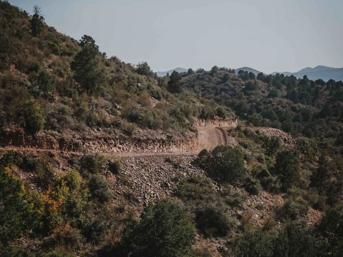 Alto Coop trail photo
