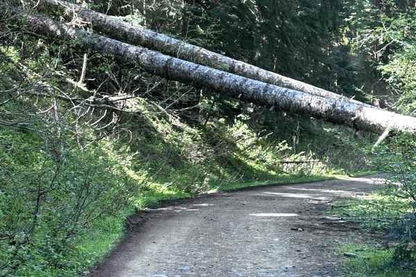 Poch Peak Trail