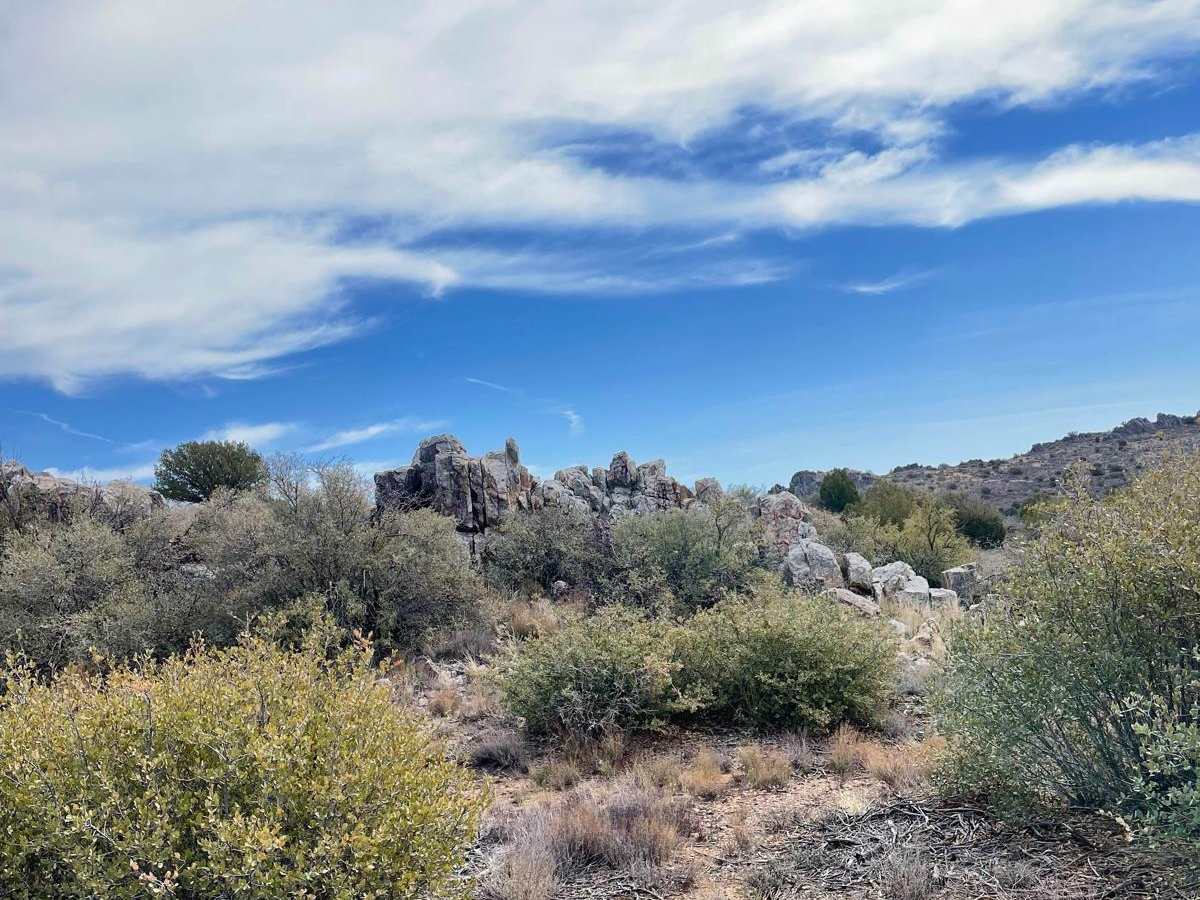 Jagged Tooth Hills photo 6