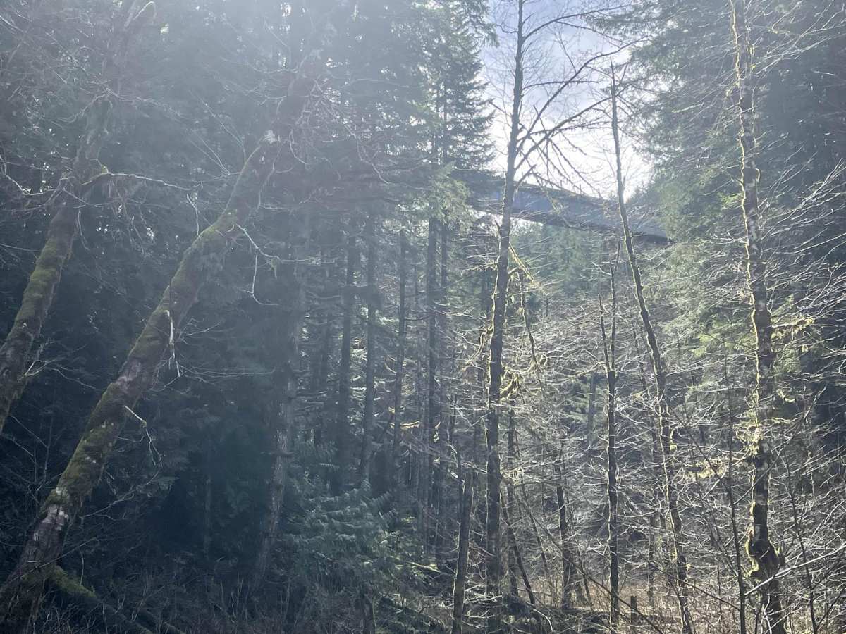 Cochran Train Trestle trail photo