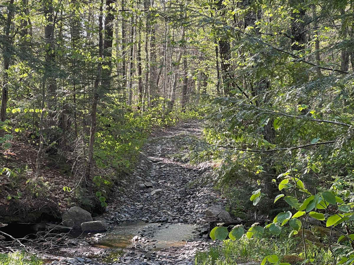Old Stage Trail photo 5