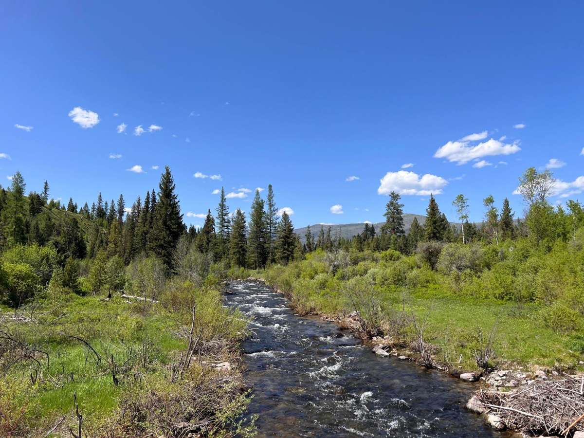 Gold Creek to 7 Mile Bridge trail photo
