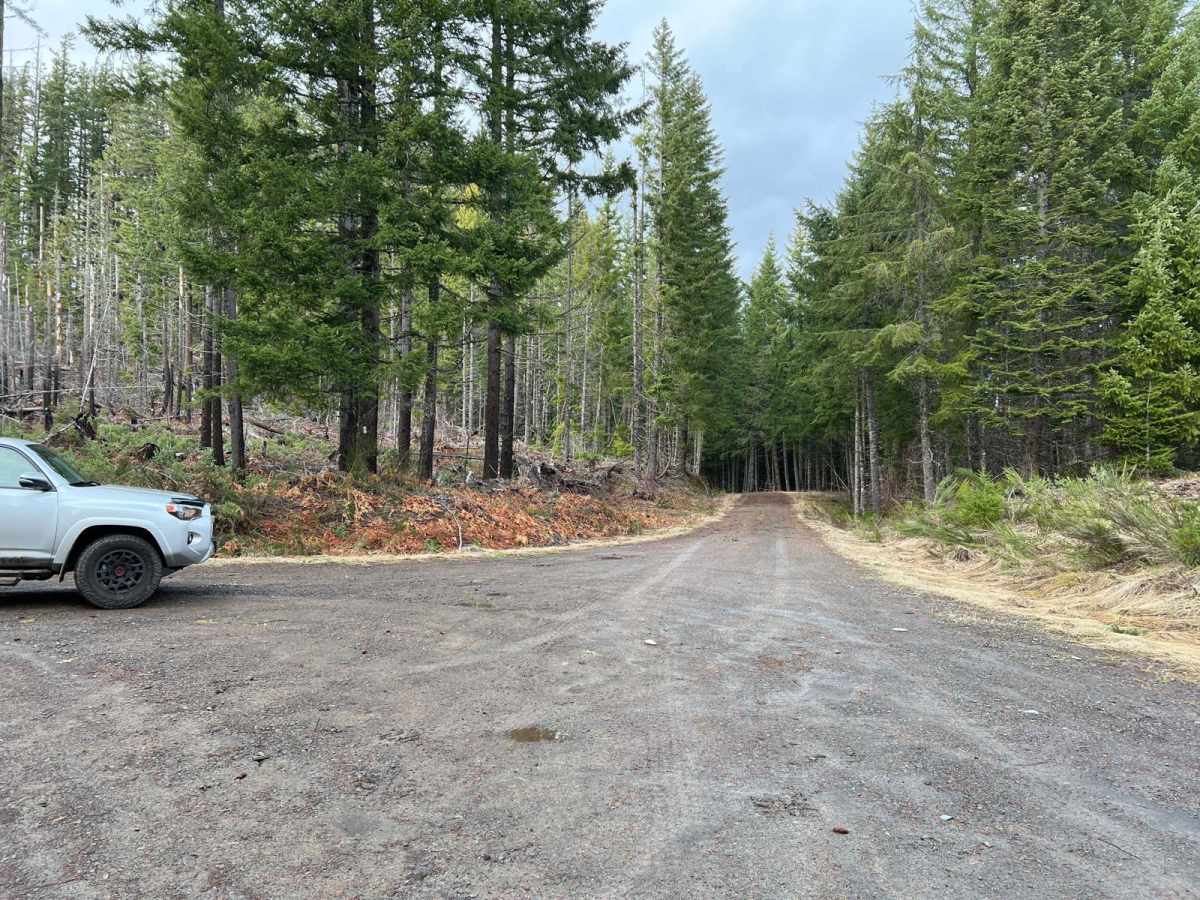 Deception Butte trail photo