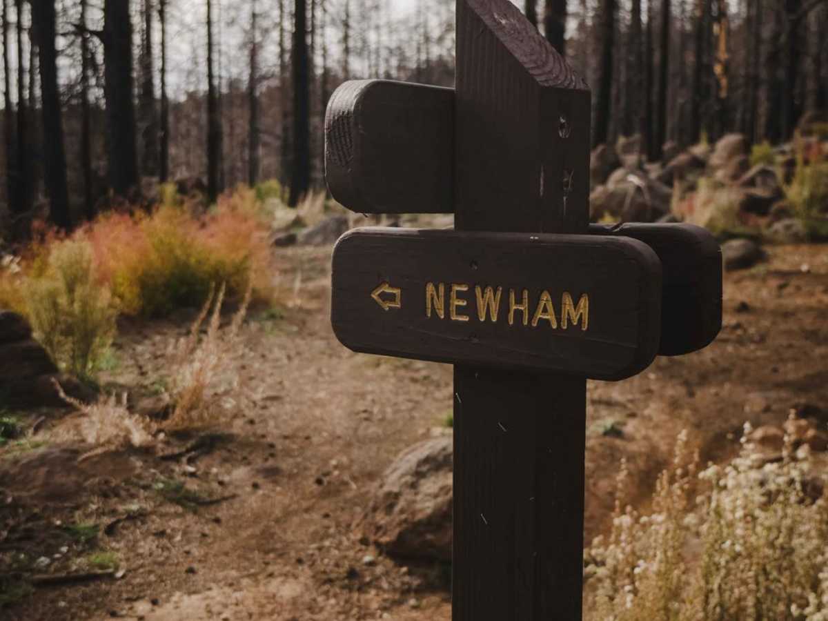 Newham photo 5