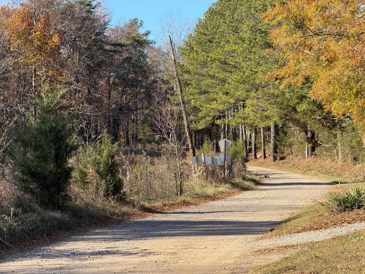 Owl Creek Road - FS 262 photo 3