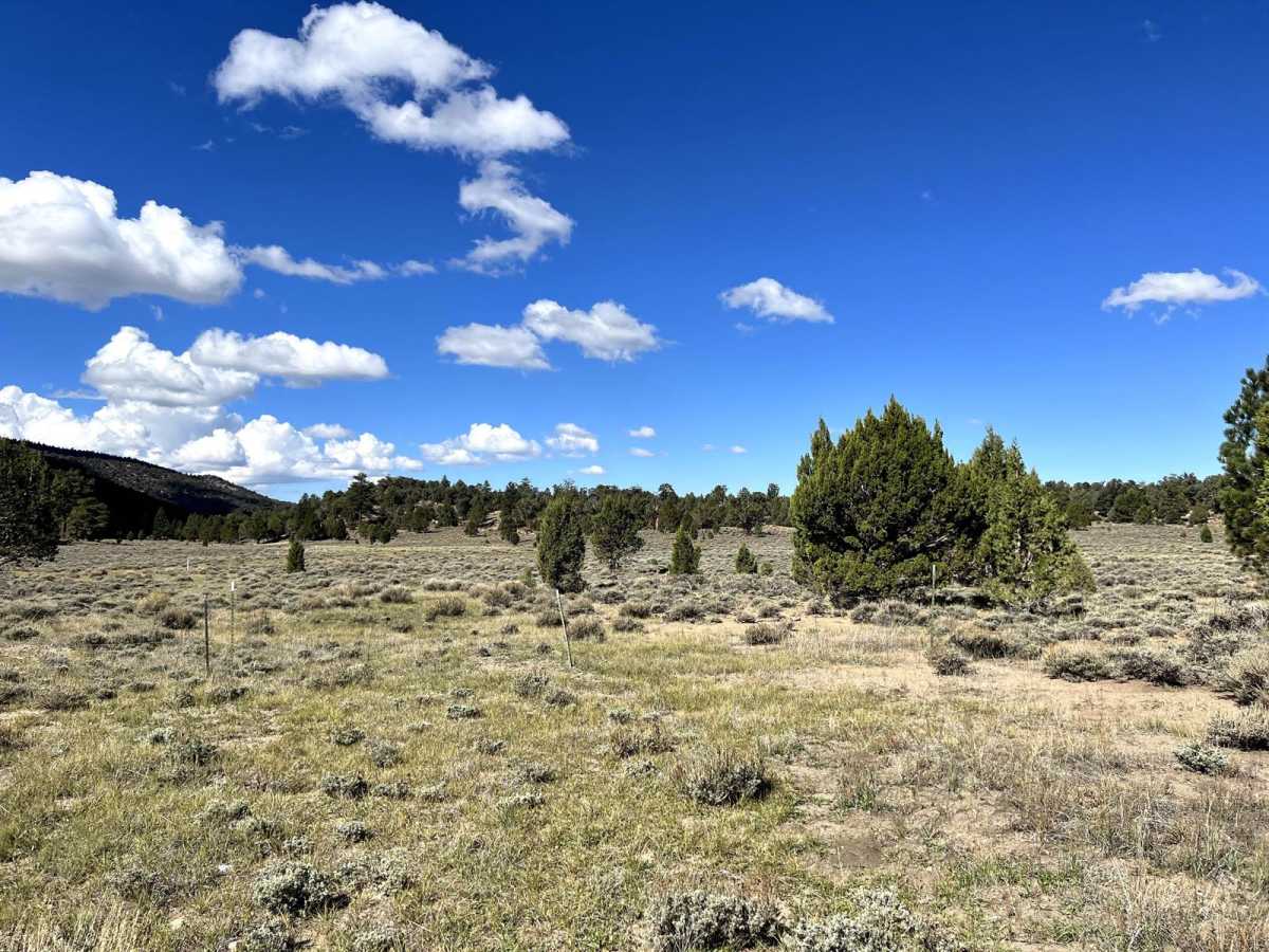 NF 2NO1 Broom Flats trail photo
