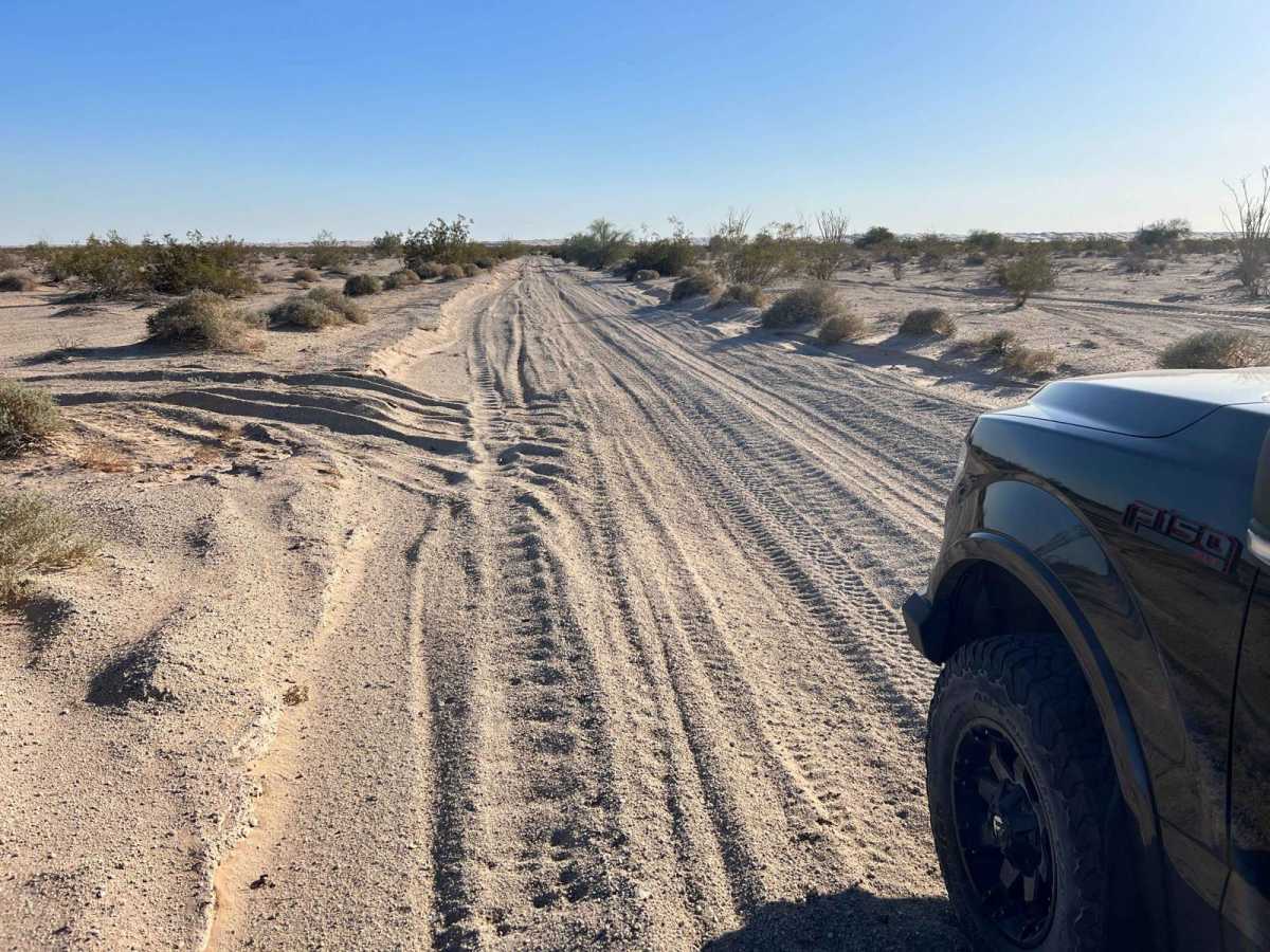 Dunes Vista photo 6