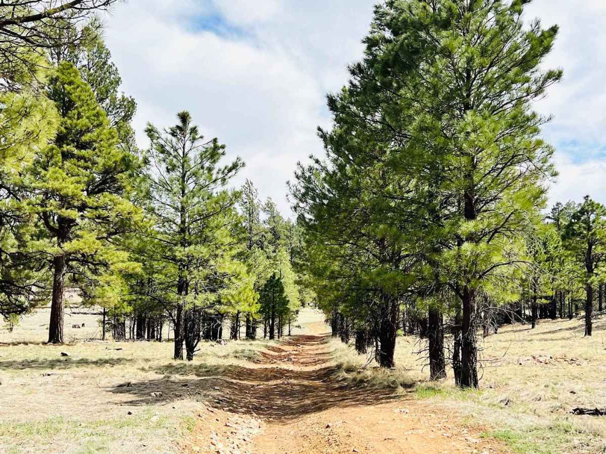 Jacks Canyon photo 3