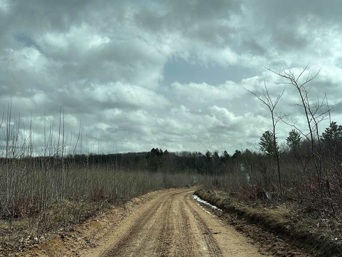 Atlanta trail head LP 4 & 9 photo 4