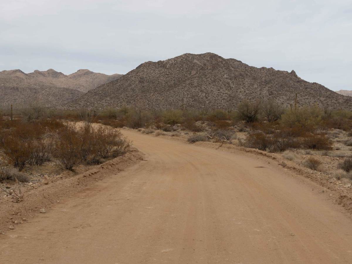 Rattlesnake Road photo 3
