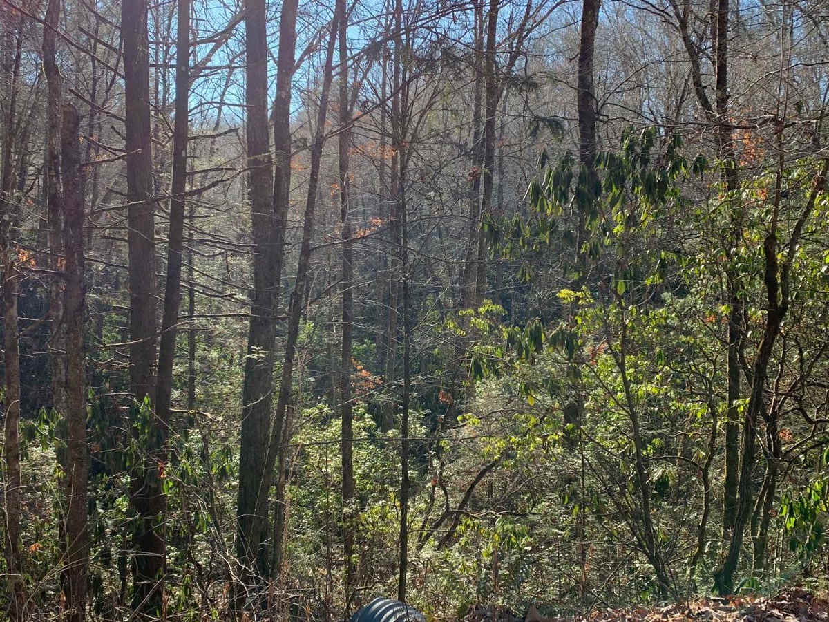 Wash Creek FR 5000 photo 2