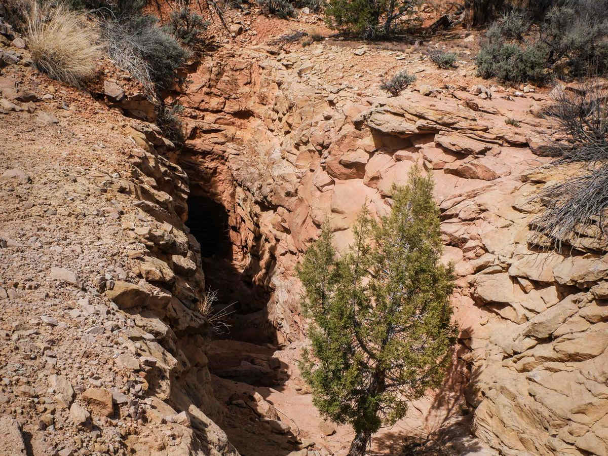 Cottonwood Creek photo 2