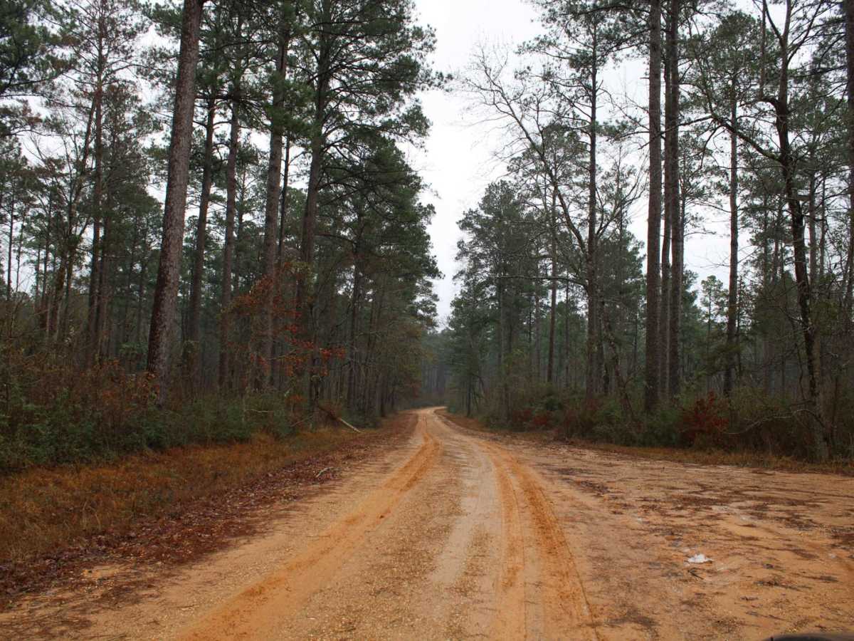 To Yankee Springs Road photo 6