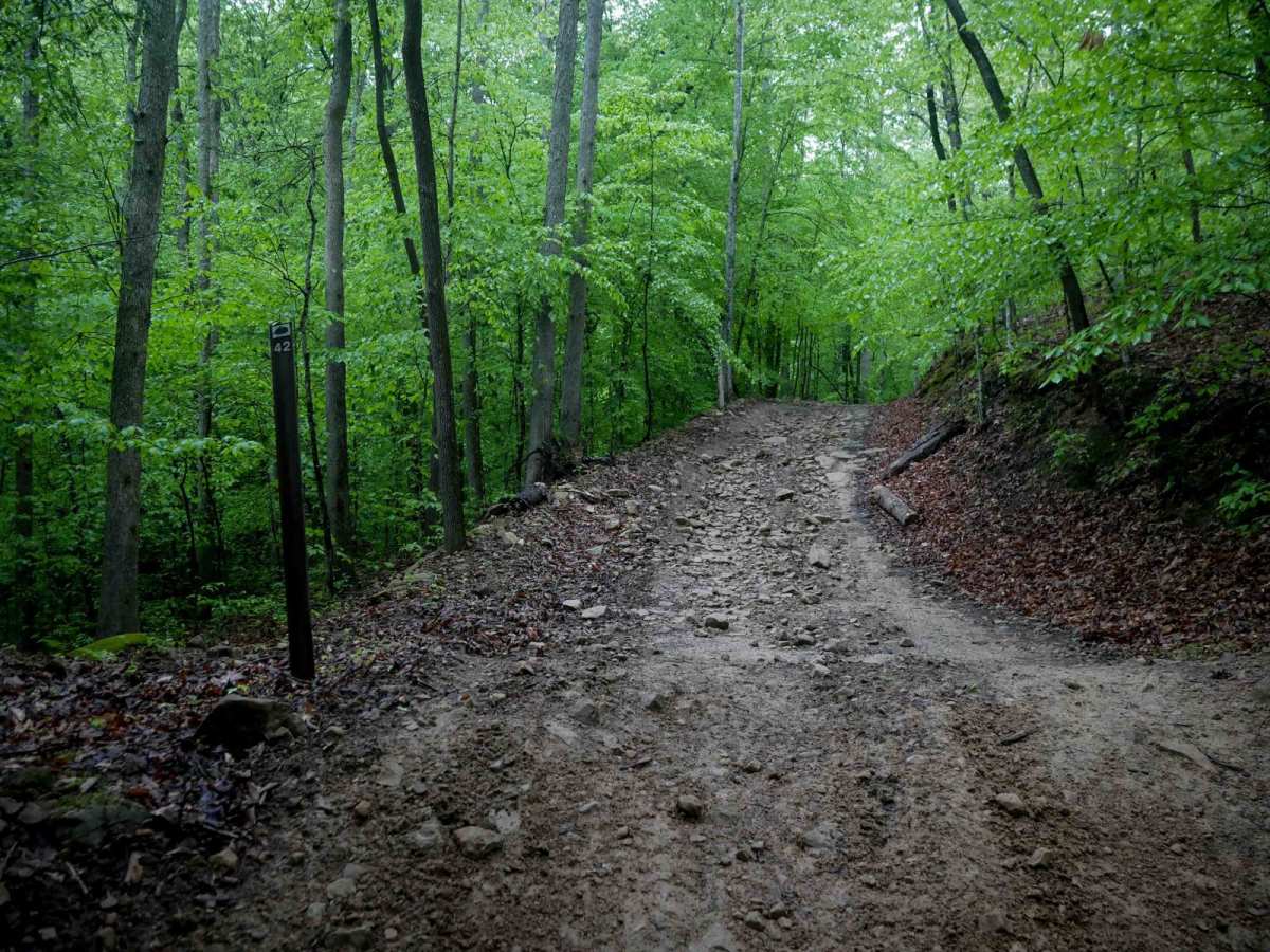 IB 42 trail photo