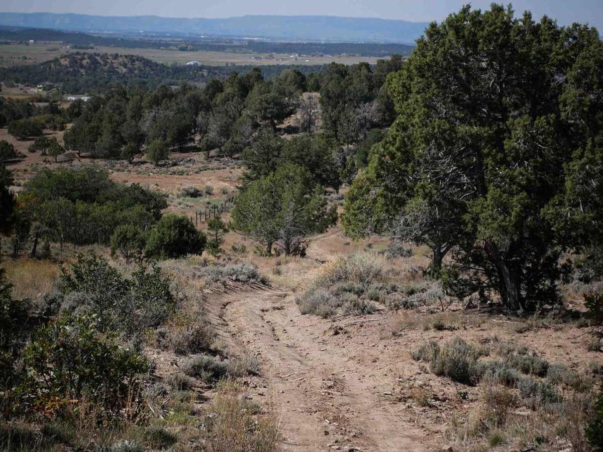 Reservoir Canyon trail photo