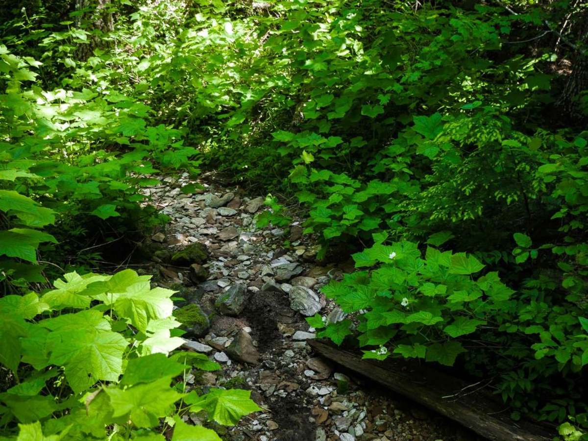 Cedar Creek photo 5