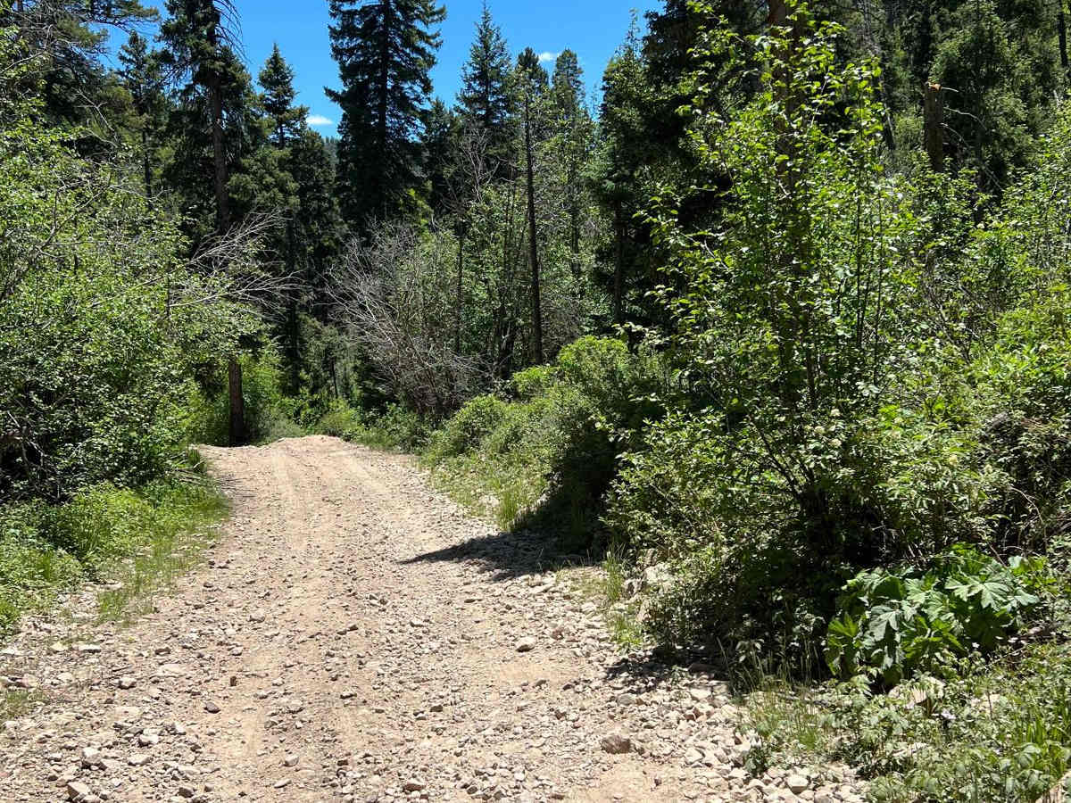 Greenie Peak to Red River - FS 54K photo 2