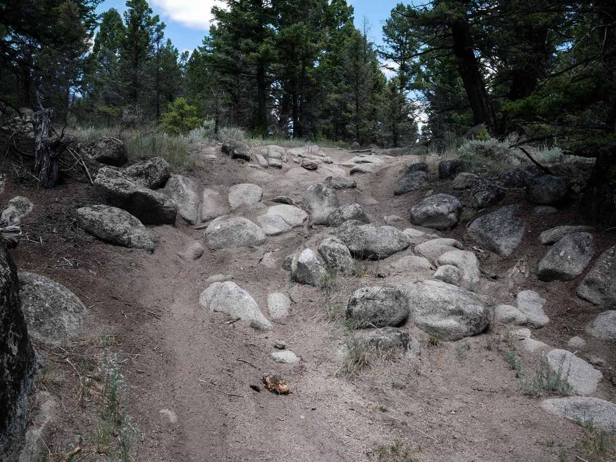 Moto St Downhill photo 3
