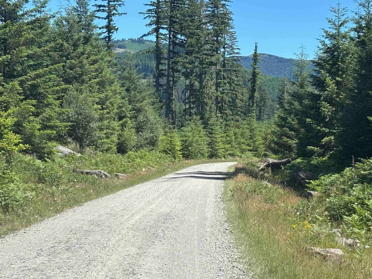 Cold Creek Camp trail photo