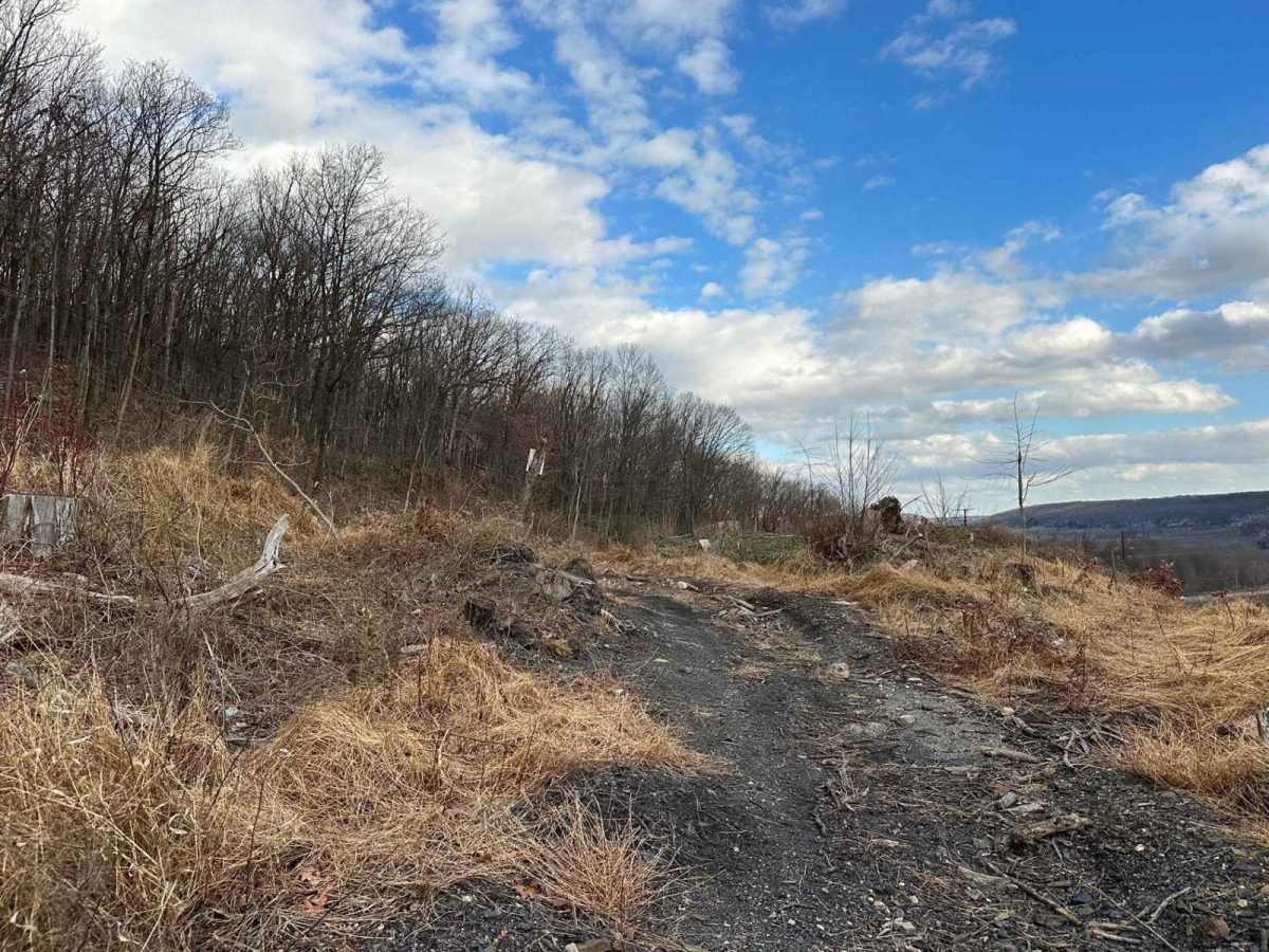 Ashland 78 photo 2