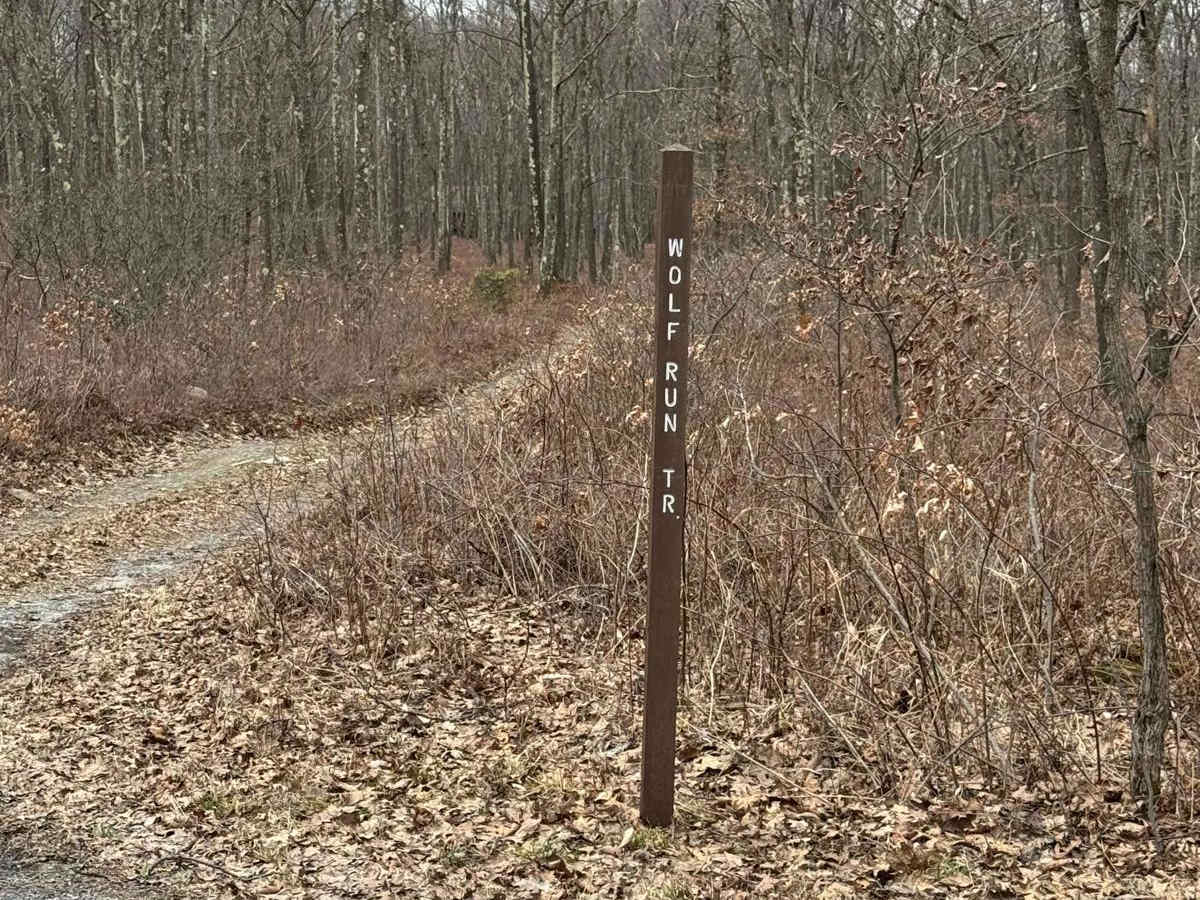 Wolf Run Trail photo 2
