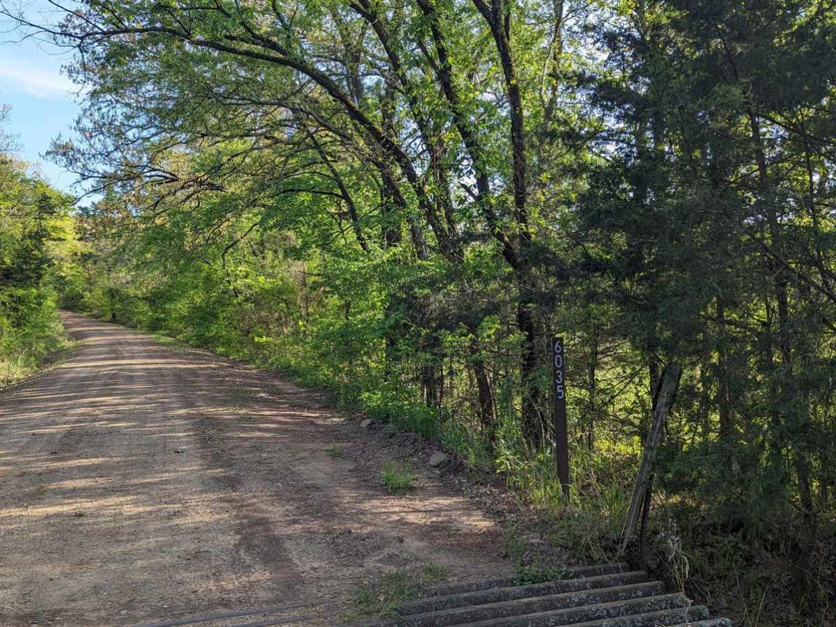 McMurtery Hollow trail photo
