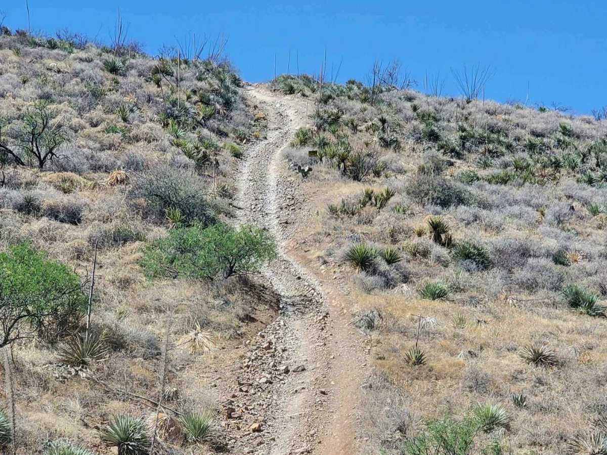 Total Wreck Mine photo 2