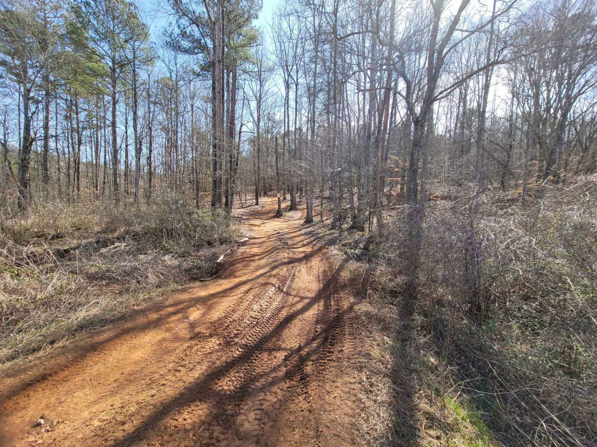 Mountain Access photo 6