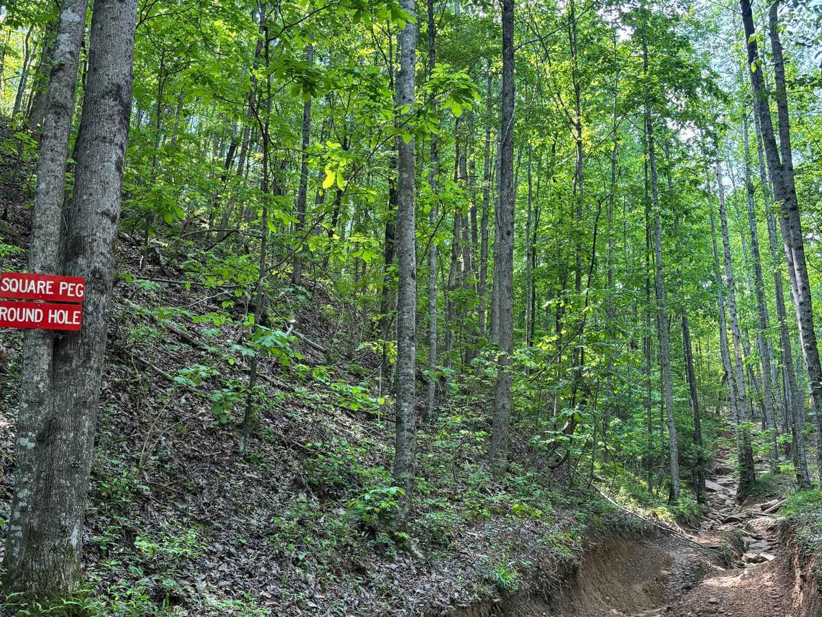 Square Peg Round Hole trail photo