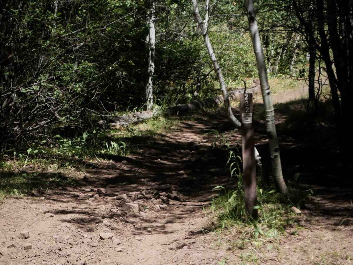 Petterson Canyon #5232 photo 3