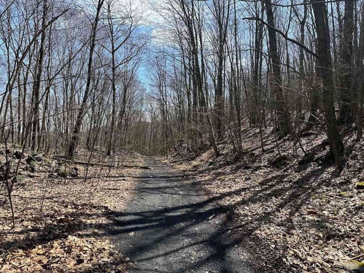 Ashland 118 trail photo