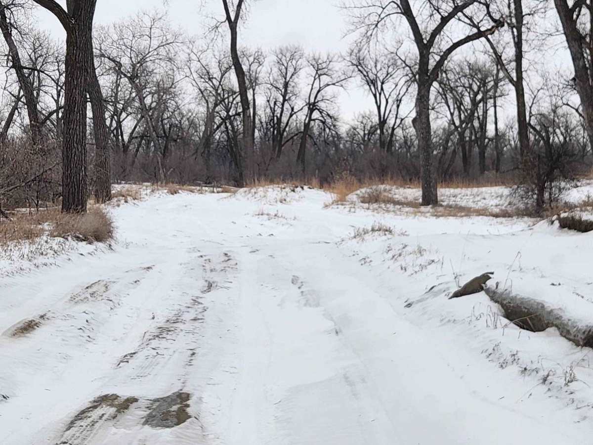 Missouri River Tour photo 2