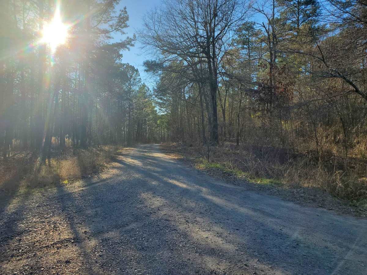 Markert Road (662) photo 2