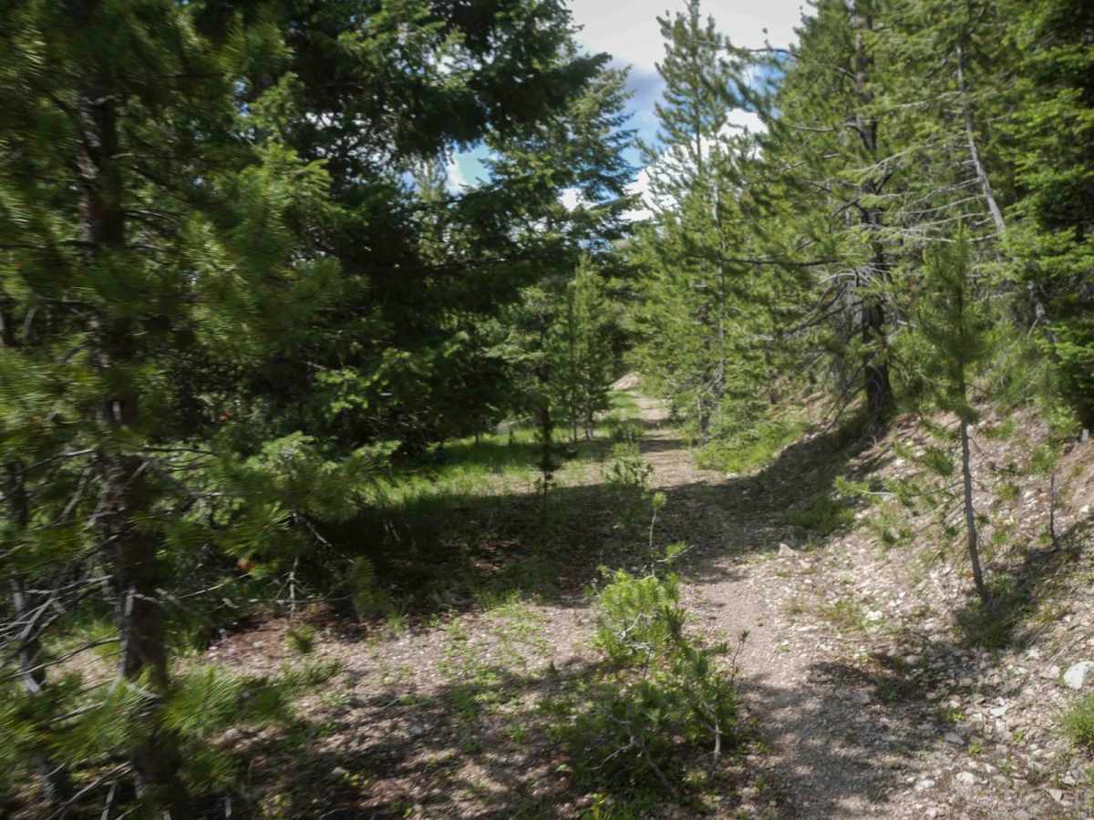 5706 ATV photo 4