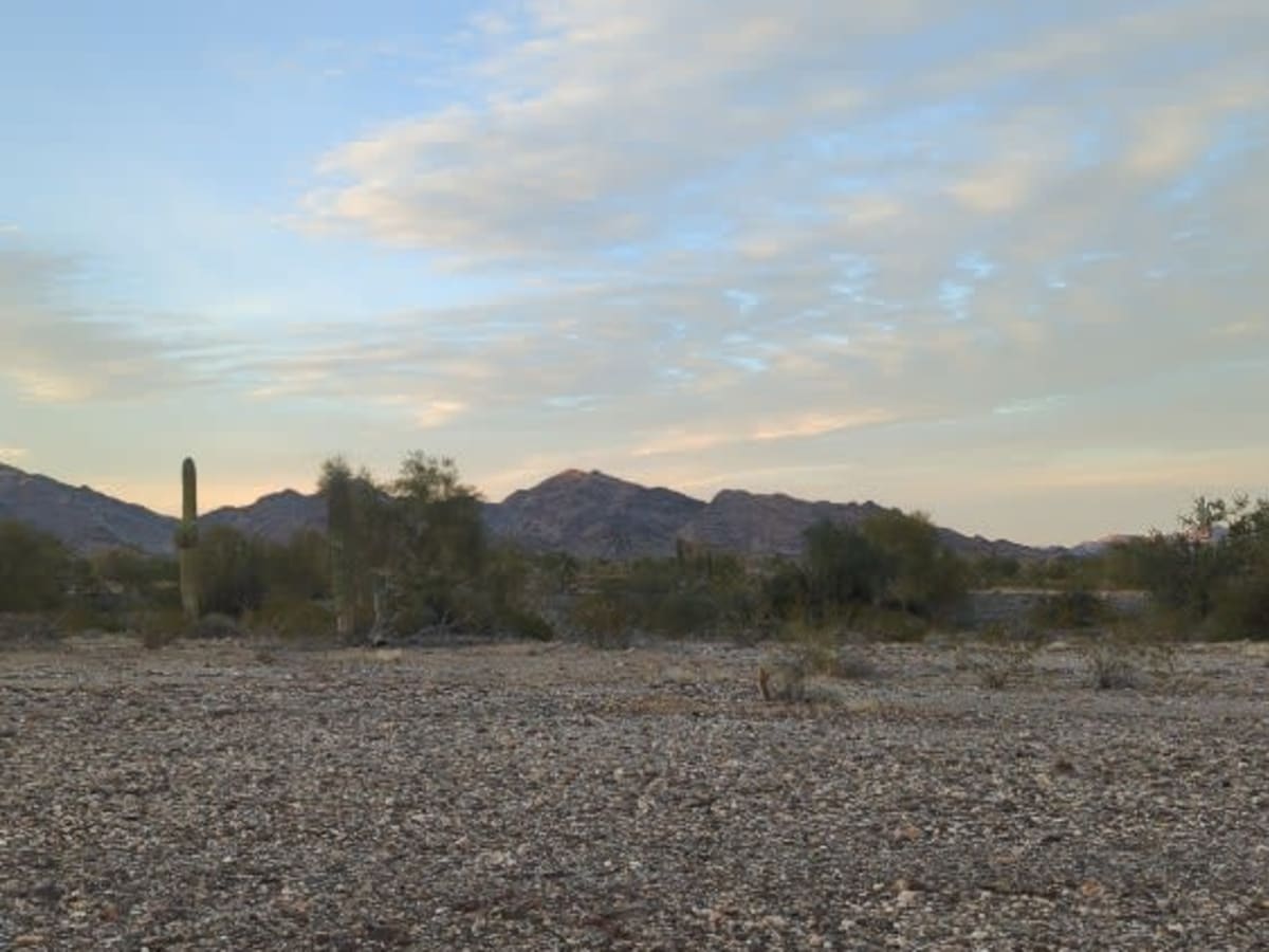 Oh Snap to Pumpkin Smasher Desert Run photo 4