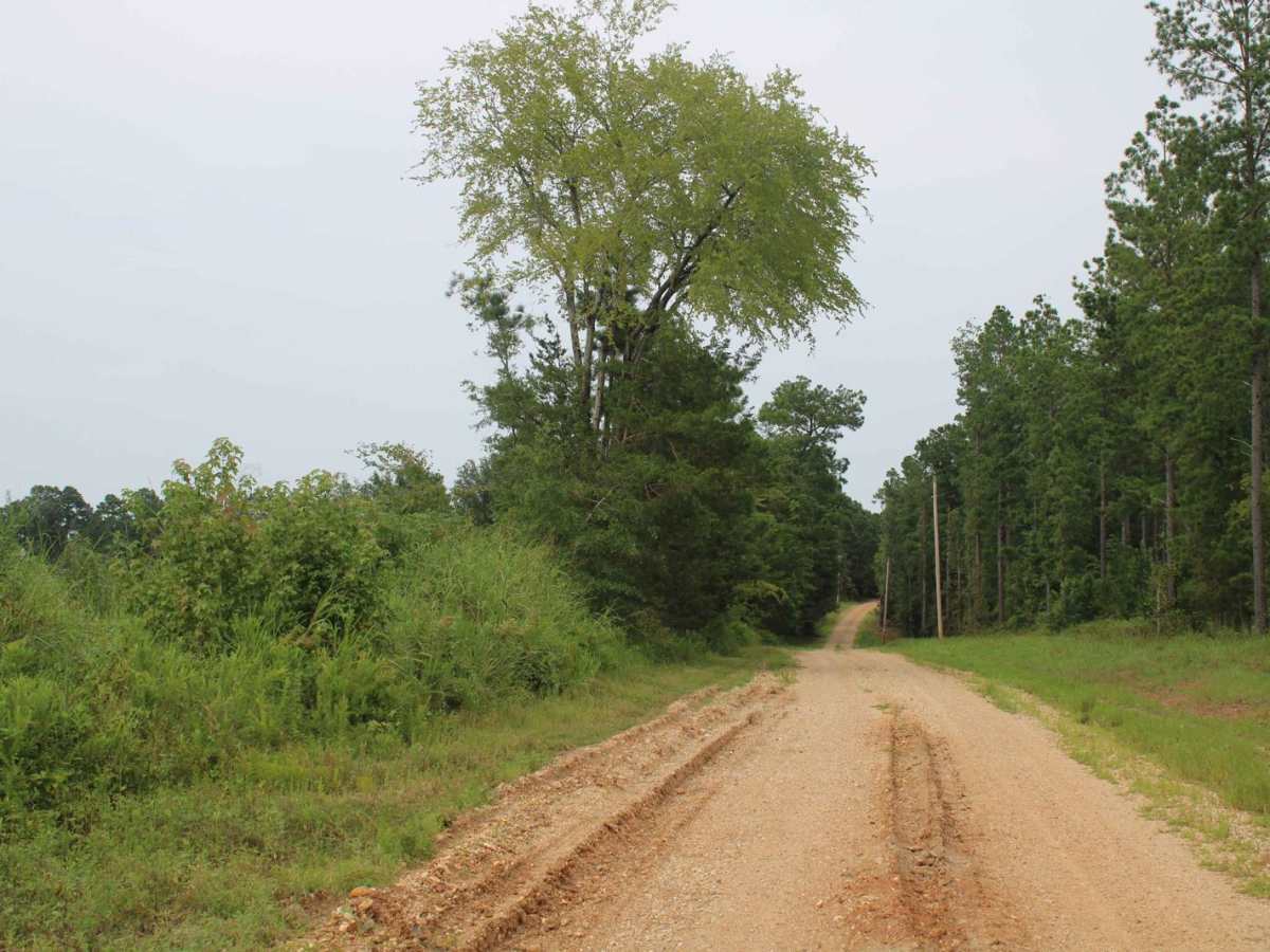 Hempstead 307 Road trail photo
